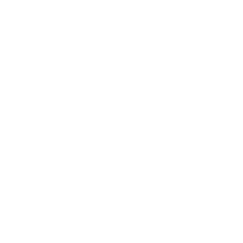 Team Icon