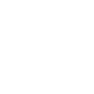 Treatment Icon